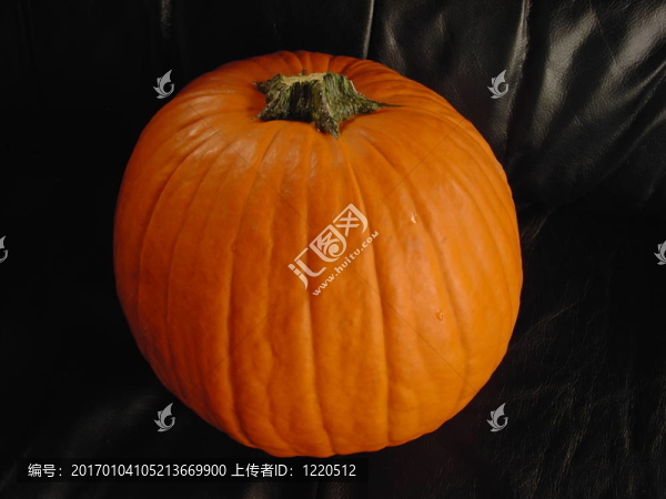 沙發(fā)上的南瓜