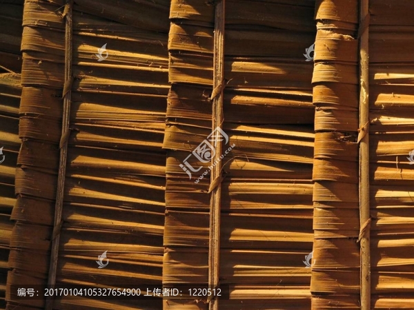 熱帶屋頂蓋細(xì)節(jié)