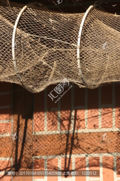 交錯(cuò)數(shù)組