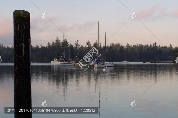 在普吉特海灣的夜晚