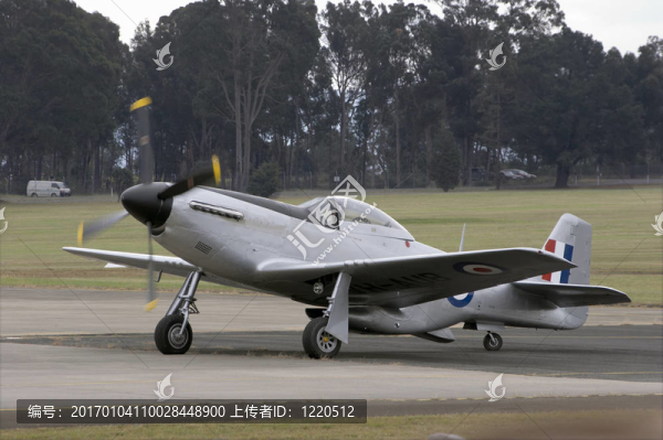 野馬-匯圖網(wǎng) www.fosd68.com 野馬