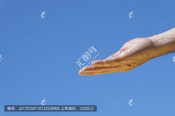 手
