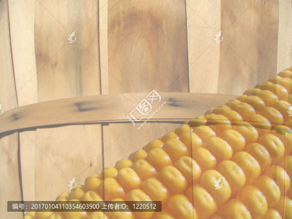 國家玉米-匯圖網(wǎng) www.fosd68.com 國家玉米