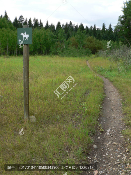 馬道