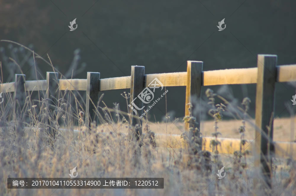 寒冷的早晨