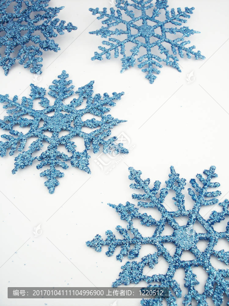 藍雪花3