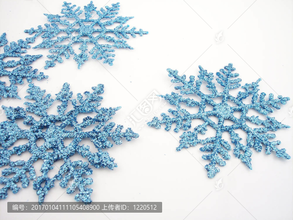 藍(lán)雪花4