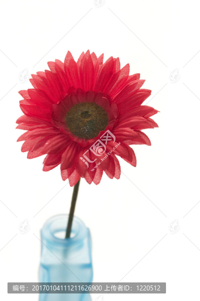 花瓶里的花