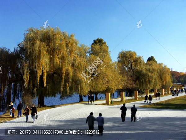 公園的長廊