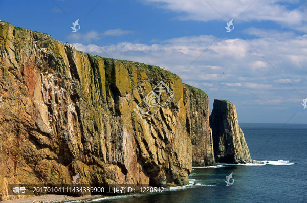 魁北克羅氏珀西