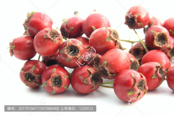 山楂-匯圖網(wǎng) www.fosd68.com 山楂