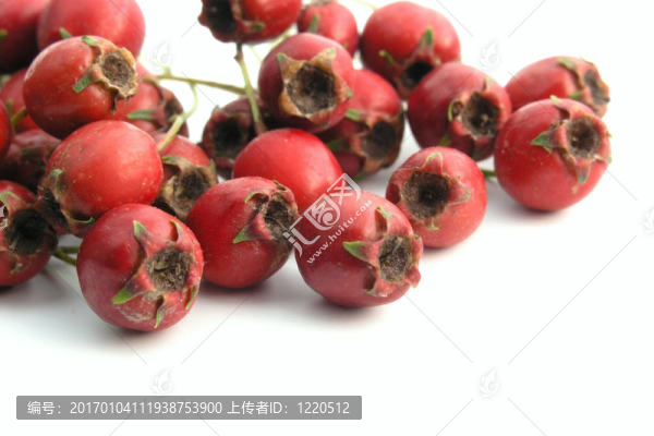 山楂-匯圖網(wǎng) www.fosd68.com 山楂