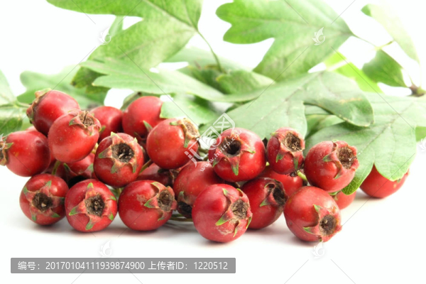 山楂