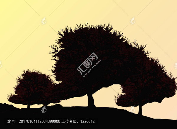 橡樹的秋天的剪影