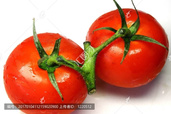 西紅柿
