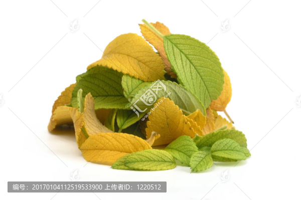秋天
