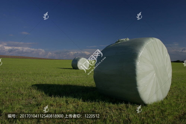 干草捆