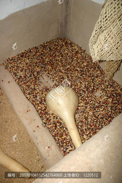 Rice和玉米貯藏