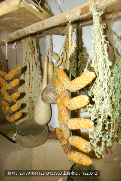 釀酒食品貯藏