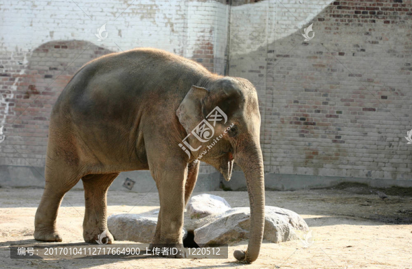 動物園