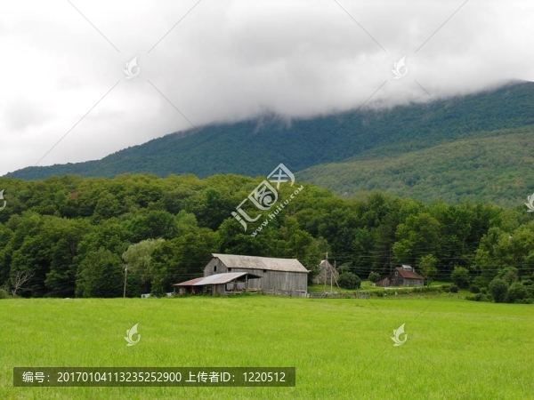 農(nóng)場場