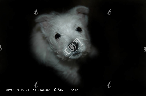 詹姆斯