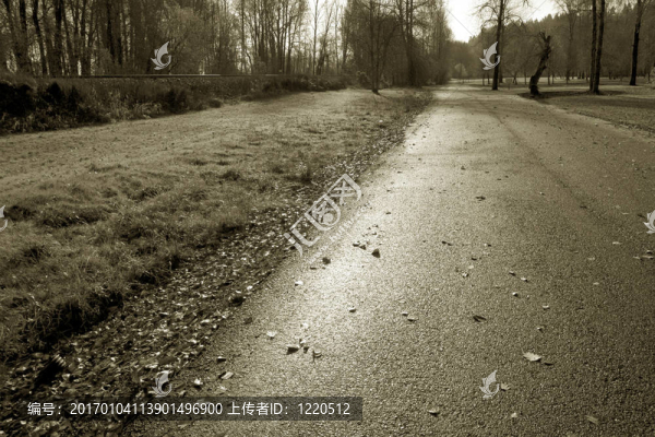 公園；木馬核電站