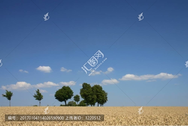 夏天的風(fēng)景