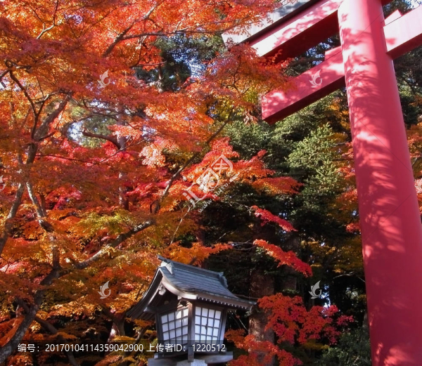 秋寺門