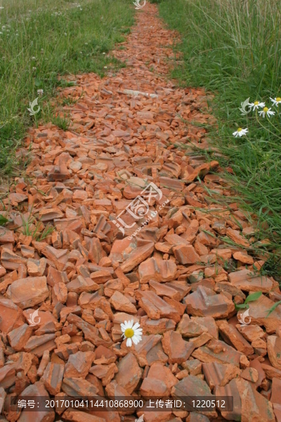 土路