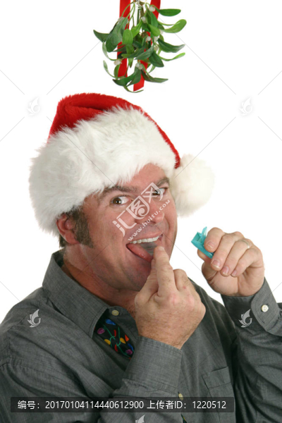 清新的氣息在槲寄生下