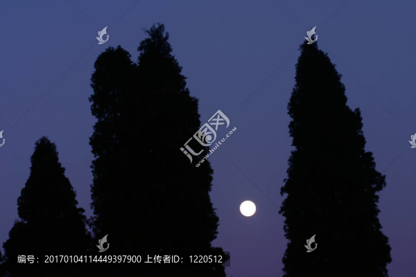 盧娜