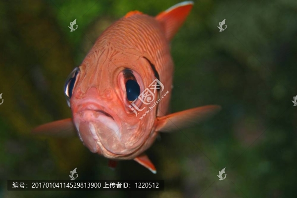 讓我出去