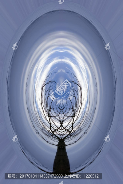 抽象藝術(shù)樹隧道