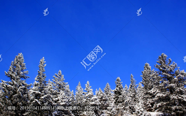 山上的雪