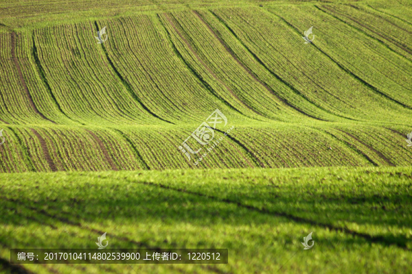 丹麥landscape01