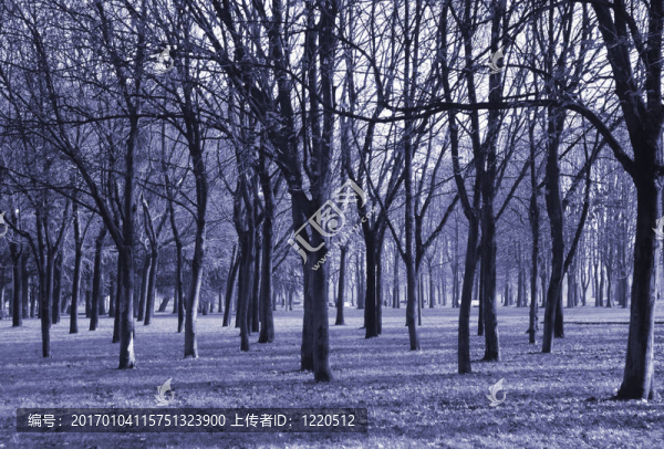 秋天的城市公園