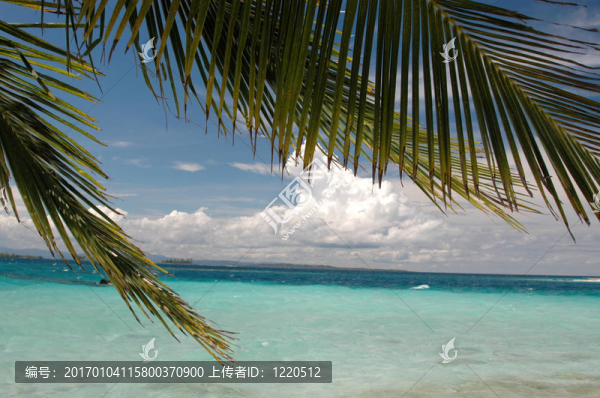 panama1028