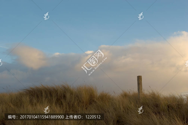 海草；云；天空