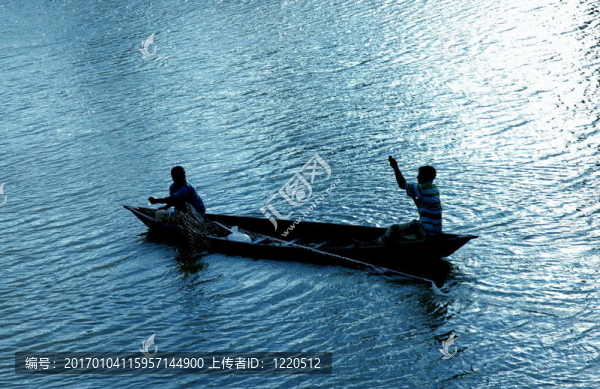 在藍(lán)色的魚