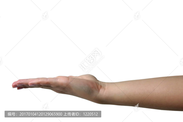 手