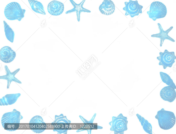 貝殼邊