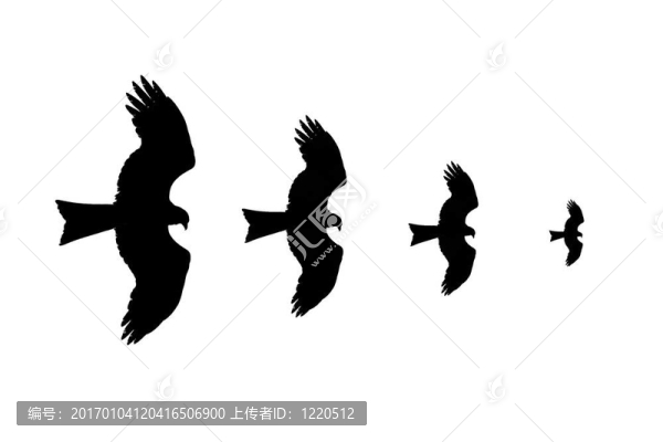 高高飄揚