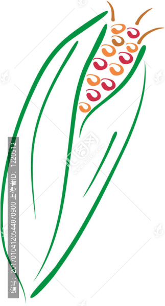 玉米線條藝術(shù)