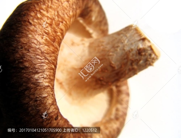 廚房里的蘑菇