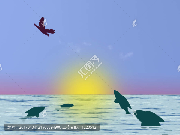 海