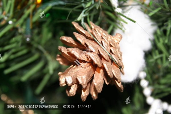 圣誕松果