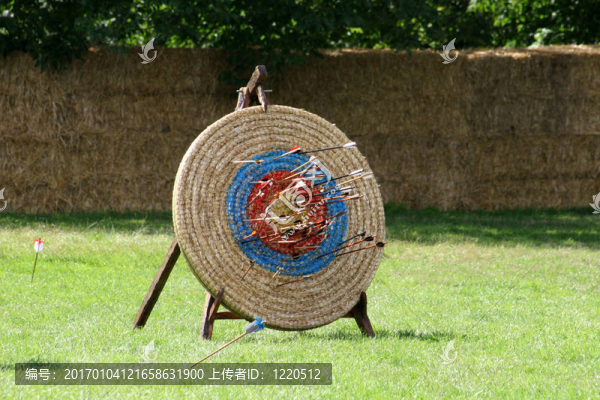 目的…火