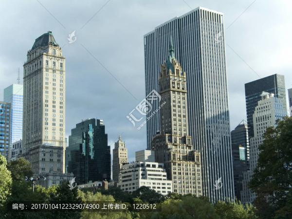 城市的樹梢