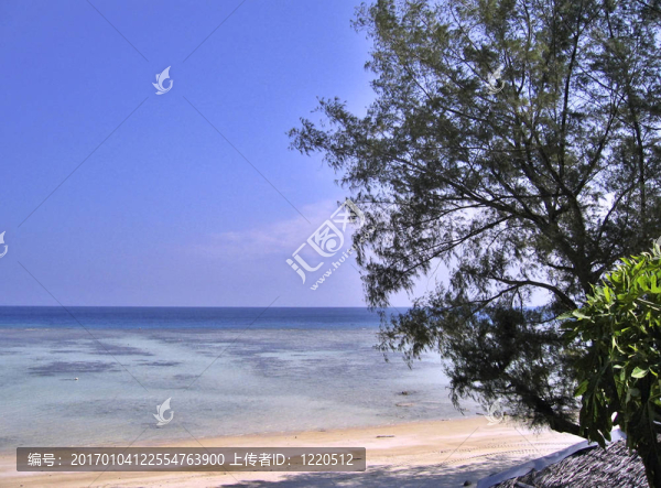 海灘度假